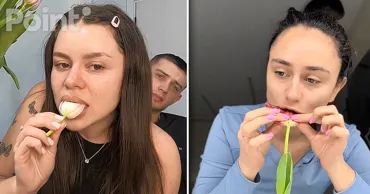 Тюльпаны не едят: ученые предостерегают от опасного тренда в TikTok