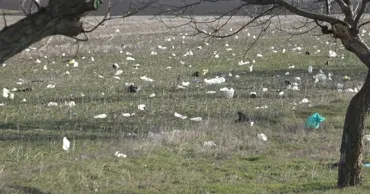 Pungile din plastic „au invadat” terenurile agricole din Găgăuzia: Oamenii sunt nemulțumiți