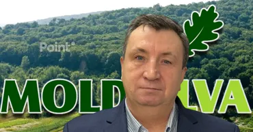 Глава Moldsilva связан с компанией, получившей госконтракт на 1,7 млн леев