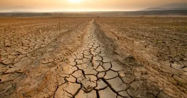 Experți: Fenomenul Super El Niño va declanșa un val global de scumpiri alimentare