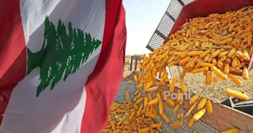 Ливан стал главным покупателем молдавской кукурузы