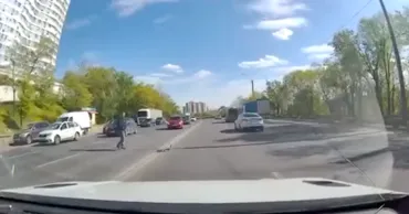 В Кишиневе прохожие помогли утке с утятами перейти оживленную дорогу