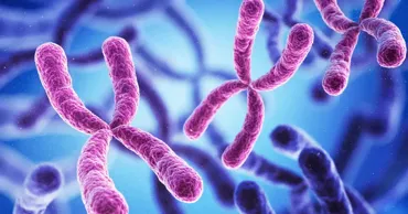 Ученым удалось частично «отключить» лишнюю хромосому при синдроме Дауна