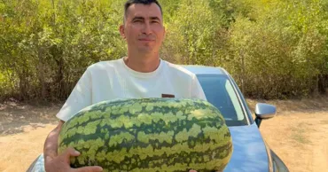 Фермер из Каушанского района похвастался гигантским арбузом весом более 40 кг