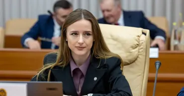 Госсекретарь Минэнерго задекларировала почти 3 млн леев доходов за 2025 год