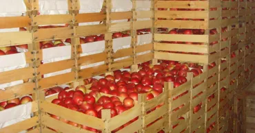 Nicio cameră agricolă nu a fost creată în R. Moldova