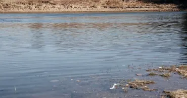 Удобрения и сточные воды являются основными источниками загрязнения реки Днестр