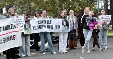 Зоозащитники вышли на протест к зданию правительства с требованием защитить животных