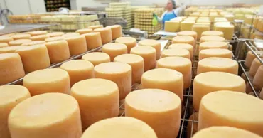 Moldova a importat peste 3.500 de tone de brânză ucraineană