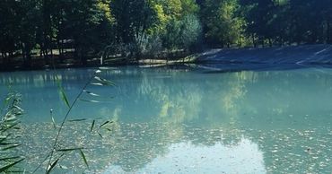 Экологическая катастрофа: в одном из столичных озер всплыла рыба.