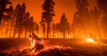 Europa, tot mai expusă în fața incendiilor devastatoare
