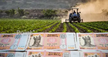 Налоговая служба обновила механизм возврата НДС для сельхозпроизводителей