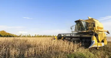 Leguma de bază complet interzisă într-un oraş, după ce un singur copil s-a îmbolnăvit