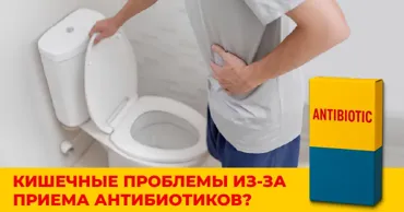 Lacto-G: Как быстро восстановить кишечник после антибиотиков Ⓟ