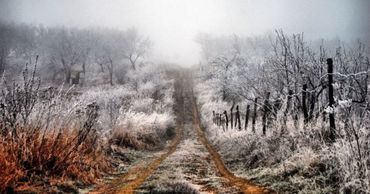 Холодная погода сохранится и в последующие дни.