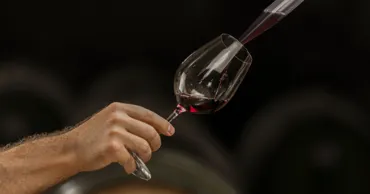 O nouă platformă va aduce Vinul Moldovei mai aproape de turiști și consumatori