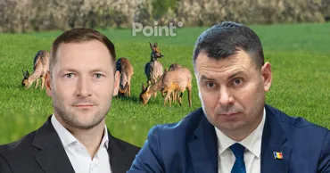 Решение Хаждера об отстреле косуль подверглось критике: Мы требуем отмены приказа