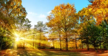 Meteo 17 septembrie: Cer variabil și temperaturi de până la +26°C