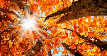 Meteo 30 septembrie 2026: Ultima zi a lunii aduce cer variabil. Ce maxime vom avea