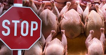 ANSA запретило ввоз птичьего мяса из Винницкой области Украины. Фото: Point.md.