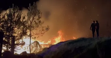 Woloshin banya: Феникс - восстание из пепла Ⓟ