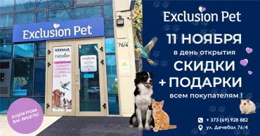 Exclusion Pet: 11 ноября откроется новый магазин на улице Decebal Ⓟ