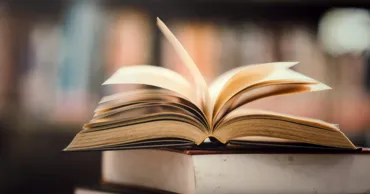 Орфографический словарь пополнился зумерскими словами: «тиктокер», «раф» и «личка»