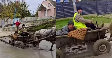 Мужчин, которые проехали на повозке по свежему бетону в Карпиненах, оштрафуют