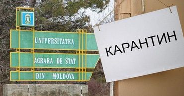 Два общежития Аграрного университета закрыты на карантин. Коллаж: Point.md