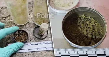 В Дубоссарском районе раскрыли группу наркоторговцев