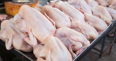 В экспортированной в Азербайджан украинской курятине обнаружили сальмонеллу