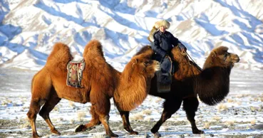 Fenomen neobișnuit în Mongolia: A nins în plină vară, cu temperaturi de -5°C