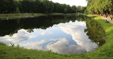 Ученые объяснили, зачем превращать городские пустыри в парки и водоемы