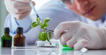 R. Moldova înăsprește controlul asupra utilizării biotehnologiilor moderne