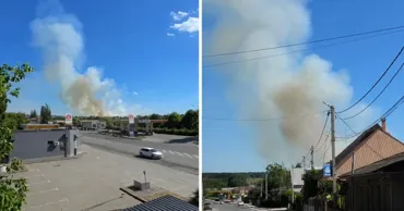 Пожар вблизи села Цамбула: огонь охватил пшеничное поле