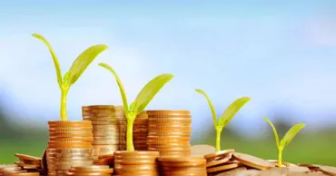 Peste un miliard de lei investiți în agricultura R. Moldova în doar șase luni