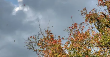 Meteo 2 septembrie 2026: Ploile vor continua în unele zone. Maximele prognozate