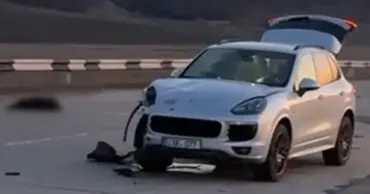 Возле села Резены водитель Porsche сбил двух овец