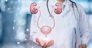 Medicana: Урология и нефрология Ⓟ