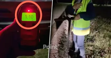 Conducători de trotinete electrice în stare de ebrietate, depistați la Chișinău și Orhei