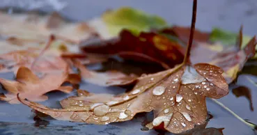Meteo 12 septembrie: Cer variabil și ploi în unele regiuni. Maximele prognozate