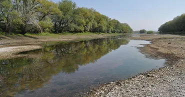 Днестр продолжает мелеть: власти готовят рекомендации по экономии воды