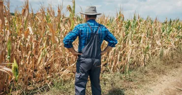 Парламент предложил мораторий для фермеров, пострадавших от засухи