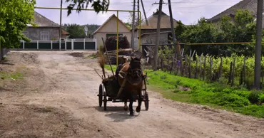 Săptămână de lucru de patru zile? Ce spun unii moldoveni de la sat despre acest model