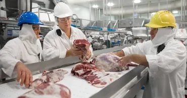 Moldova va avea prima fabrică modernă pentru gestionarea sustenabilă a resturilor de origine animală