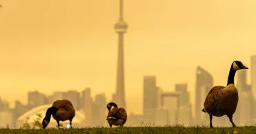 Fumul provocat de incendiile forestiere din Canada a ajuns în New York, Detroit și Minneapolis