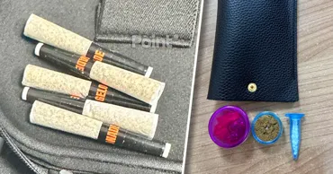 Два случая незаконного провоза наркотиков пресекли на КПП "Паланка"