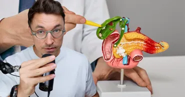 Bila leneșă, mit și diagnostic: Un medic explică simptomele, cauzele și soluțiile