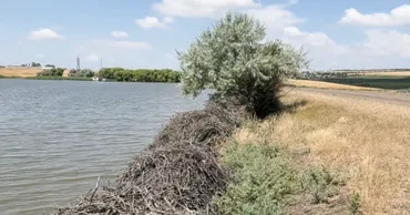 После гибели подростка в Каушанском районе полиция усилила проверки водоемов