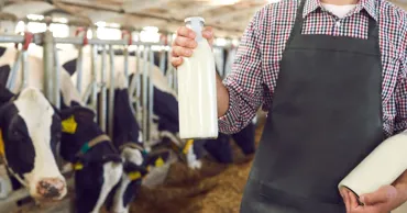Importurile acoperă tot mai mult din consumul de lactate din R. Moldova